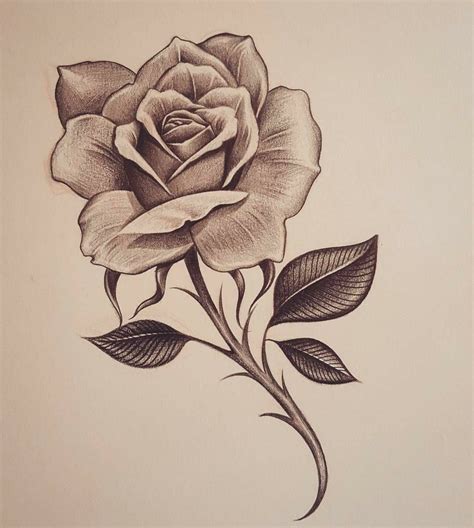 33 Rose zeichnung tattoo